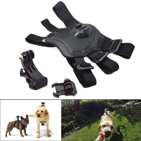 Fetch Dog Harness for GoPro - Plaza Cameras 1 Fetch Dog Harness for GoPro - Plaza Cameras