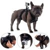 Fetch Dog Harness for GoPro - Plaza Cameras 2 Fetch Dog Harness for GoPro - Plaza Cameras