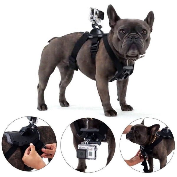 Fetch Dog Harness for GoPro - Plaza Cameras 2 Fetch Dog Harness for GoPro - Plaza Cameras