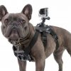 gopro-fetch Fetch Dog Harness for GoPro