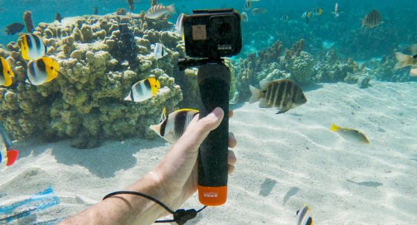 Gopro The Handler - Plaza Cameras 4 Gopro The Handler - Plaza Cameras