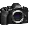 Olympus E-m10 MK IV