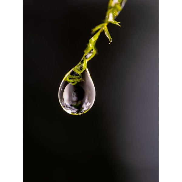 OM Systems 90mm Macro - Plaza Cameras