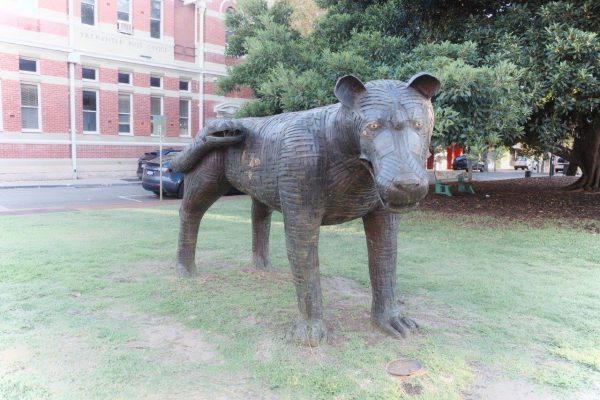 R0000954 Plaza Cameras Photo taken with Ricoh GRiii