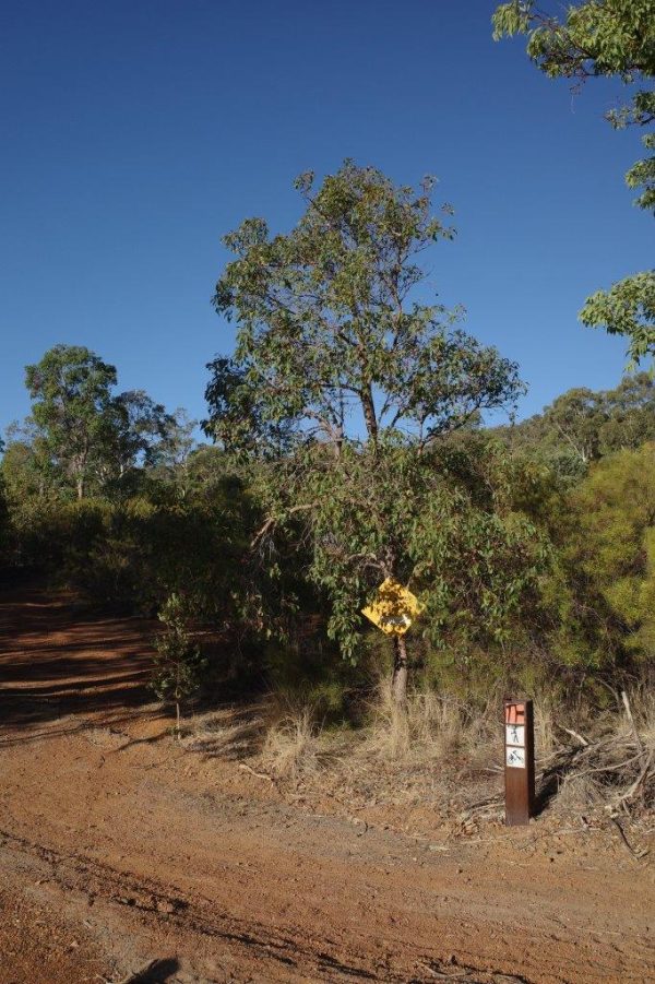 R0000964 Plaza Cameras Photo taken with Ricoh GRiii