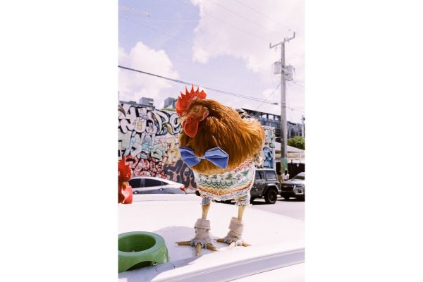 Lomography LomoChrome Metropolis 35mm Film - Plaza Cameras 7 Lomography LomoChrome Metropolis 35mm Film - Plaza Cameras