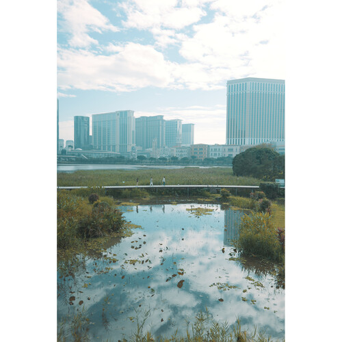 LUMIX S 28-200mm F4-7.1 MACRO O.I.S Lens L Mount - Plaza Cameras 7 LUMIX S 28-200mm F4-7.1 MACRO O.I.S Lens L Mount - Plaza Cameras