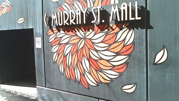 Pulse Thermal Camera Sample 5 - Plaza Cameras PULSE Instant Thermal Print Digital Camera - Blue