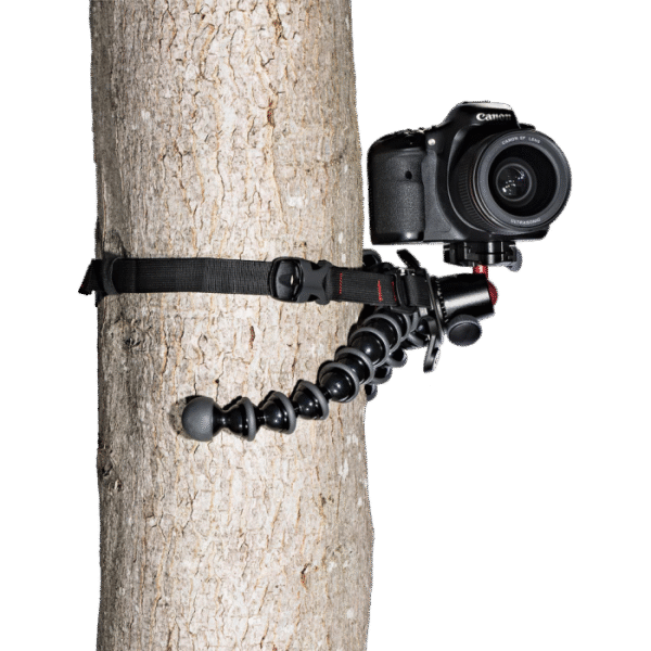 Joby GorillaPod Rig Upgrade - Plaza Cameras 3 Joby GorillaPod Rig Upgrade - Plaza Cameras 2