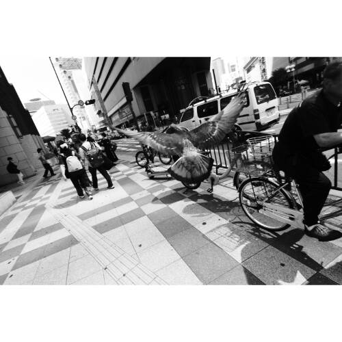 Panasonic Lumix S9 with 18-40mm Lens Kit - Silver - Plaza Cameras 6 Panasonic Lumix S9 with 18-40mm Lens Kit - Silver - Plaza Cameras