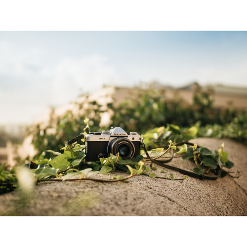 OM SYSTEM OM-3 Mirrorless Camera with 12-45mm f4 Lens Kit - Plaza Cameras 28 OM SYSTEM OM-3 Mirrorless Camera with 12-45mm f4 Lens Kit - Plaza Cameras