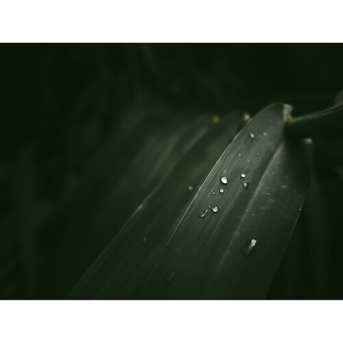 OM SYSTEM OM-3 Mirrorless Camera with 12-45mm f4 Lens Kit - Plaza Cameras 34 OM SYSTEM OM-3 Mirrorless Camera with 12-45mm f4 Lens Kit - Plaza Cameras