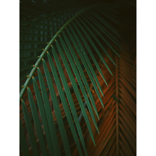 OM SYSTEM OM-3 Mirrorless Camera with 12-45mm f4 Lens Kit - Plaza Cameras 35 OM SYSTEM OM-3 Mirrorless Camera with 12-45mm f4 Lens Kit - Plaza Cameras