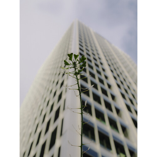 OM SYSTEM OM-3 Mirrorless Camera with 12-45mm f4 Lens Kit - Plaza Cameras 38 OM SYSTEM OM-3 Mirrorless Camera with 12-45mm f4 Lens Kit - Plaza Cameras