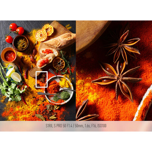 Panasonic LUMIX S1RII Hybrid Mirrorless Camera - Body Only - Plaza Cameras 18 Panasonic LUMIX S1RII Hybrid Mirrorless Camera - Body Only - Plaza Cameras