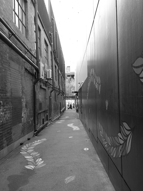 Clickster Digital Camera Demo Photo - Plaza Cameras Clickster Digital Camera Demo Photo - Plaza Cameras